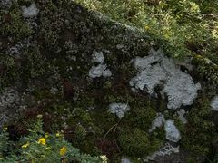-阿尔山市大兴安岭奥伦布坎景区