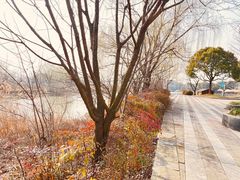 -长兴太湖图影湿地文化园