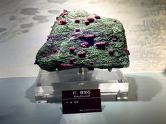 -甘肃地质博物馆