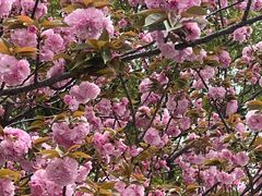 -苏州独墅湖世尊酒店