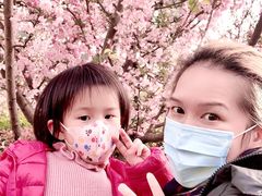 -经纬·泓汇地标家园