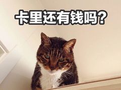 -万达广场(菏泽牡丹店)
