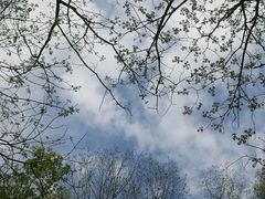 -牛背梁国家森林公园