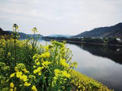 -新安江山水画廊风景区