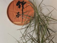 -竹子咖啡bamboo coffee