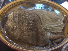 毛肚-大口潮火锅