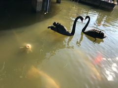 -东部华侨城