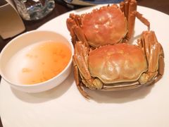 -Social 秀西餐厅-长沙瑞吉酒店(运达店)