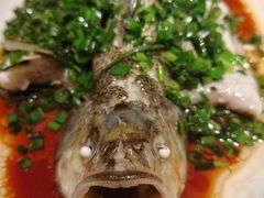 -佬肥猫(国华广场店)