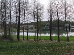 -尚贤河湿地