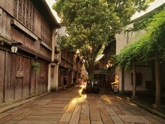 -乌镇西栅景区