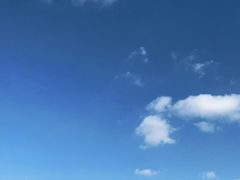 -上海山野camping·户外天幕烧烤·团建拓展营地