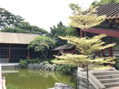 -顺峰山公园