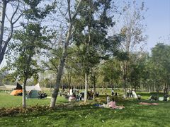 -汉长安城未央宫国家考古遗址公园