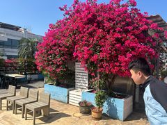 -马大胡子清真西北菜