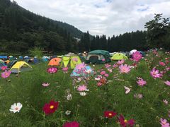 -武陵山森林公园