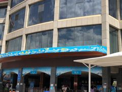 -青鱼湾水上乐园