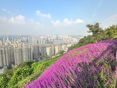 -重庆平顶山公园