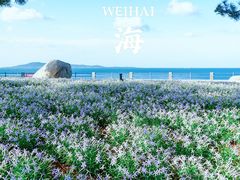 -悦海公园