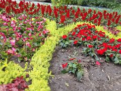 -长春公园(普阳街道)