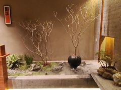 -那家老院子东北菜.饺子.小鸡炖蘑菇(宁山店)