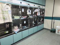 -睿金宠物医院·CT·肿瘤·骨外科