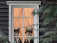 -三鹰之森吉卜力美术馆