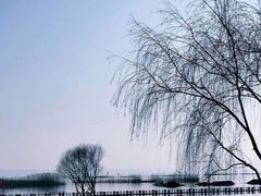 -太湖湖滨国家湿地公园-停车场