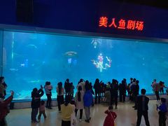 -福州罗源湾海洋世界旅游区