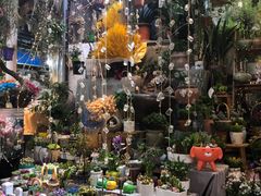 -循礼门鲜花花市(武汉循礼门店)