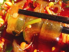 宽粉-二荆条·蜀鲜汇城市森林火锅