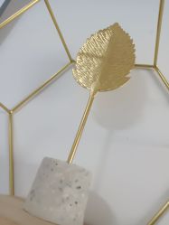 -凡碧诗毛孔收细