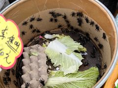 -中环花鸟鱼虫市场