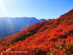-周口店坡峰岭风景区