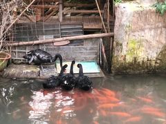 -第五季龙水凤港生态露营农场