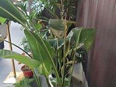 -阿伟海鲜楼·福建菜(涵江店)
