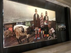-Gucci(北京金融街购物中心店)