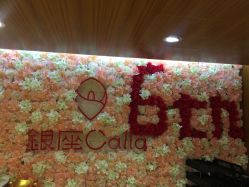 -银座Calla