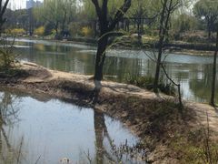 iphone_upload_pic-新江湾城公园