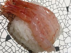 -大起水产回转寿司(道顿堀店)