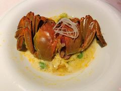 百叶咸肉蒸六月黄大闸蟹-蟹榭(静安寺晶品商场店)