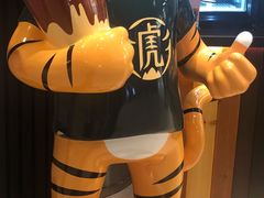 -老虎堂TIGER SUGAR