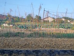 -花卉鱼庄(嘉园文景苑店)