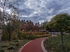 -绥化市森林植物园