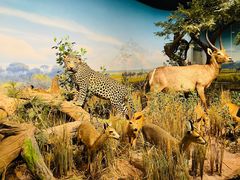 -陕西自然博物馆