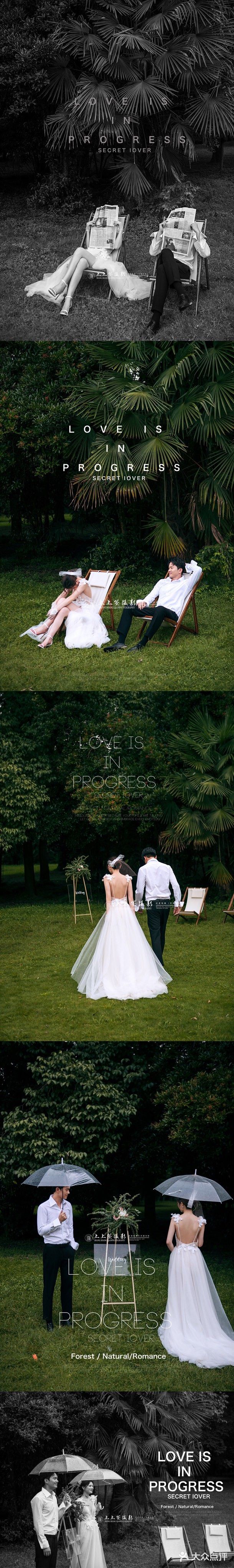 草坪婚礼/明亮森系高定婚纱照系列分享🍃