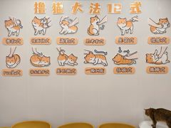 -有喵·猫咖·狗咖·30几只猫10只小狗(岗厦店)