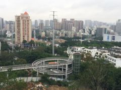 -仙岳公园