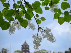 -上海辰山植物园