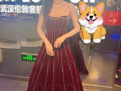 -武汉杜莎夫人蜡像馆